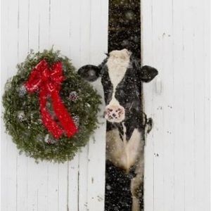 Meet your Posher, Rebekah